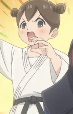 Judo Fighter