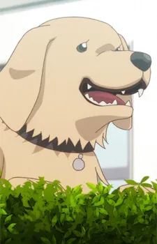 Tarou