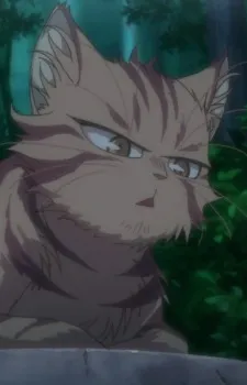 Tora-neesan