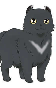 Yozora