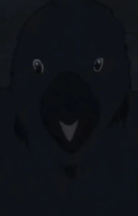 Kuro