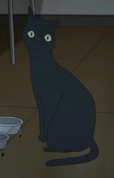 Tako