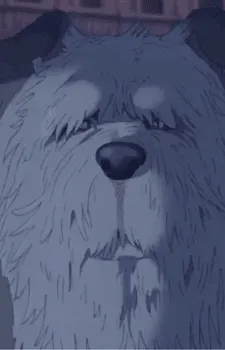 Old Dog
