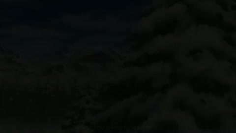 EP-206