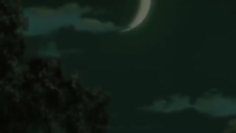 EP-241