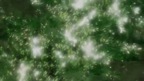 EP 13
