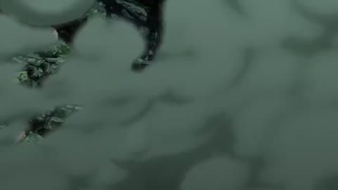 EP-418