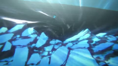 EP 7