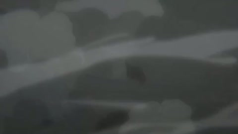 EP-1170