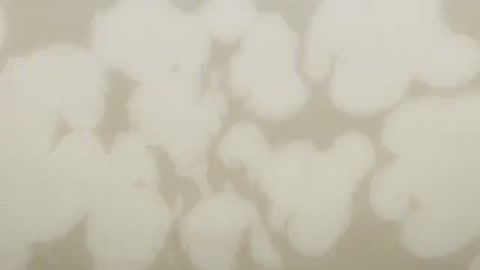 EP-898