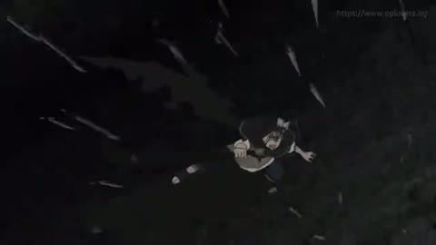 EP 115