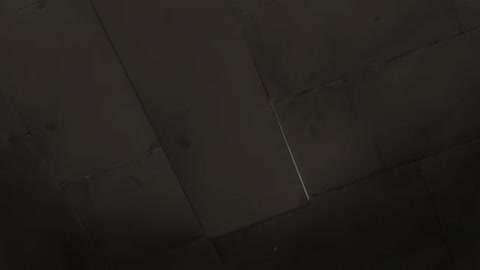 EP 8