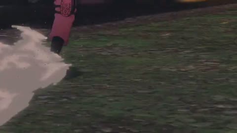 EP 2