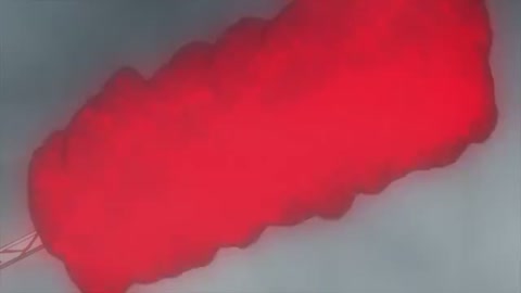 EP 11