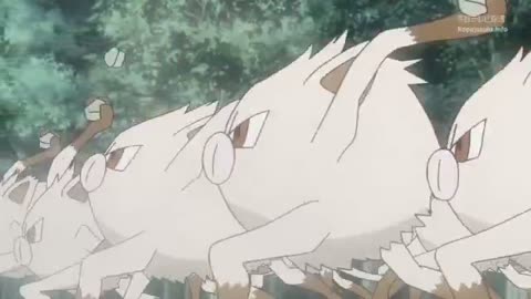 EP 53