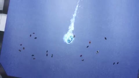 EP-10