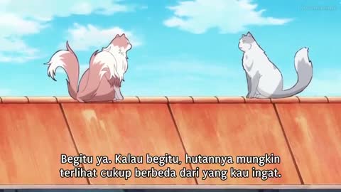 EP 7