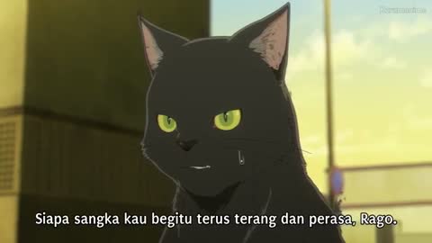 EP 8