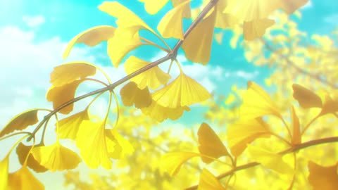 EP 10