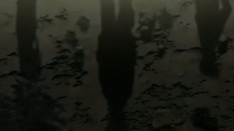 EP 7