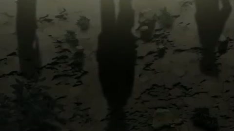 EP 8
