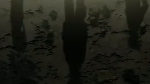 EP 13
