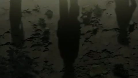 EP 17