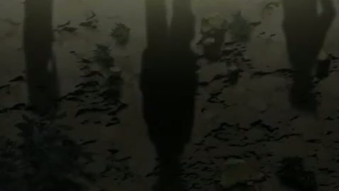 EP 19