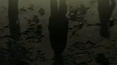 EP 20