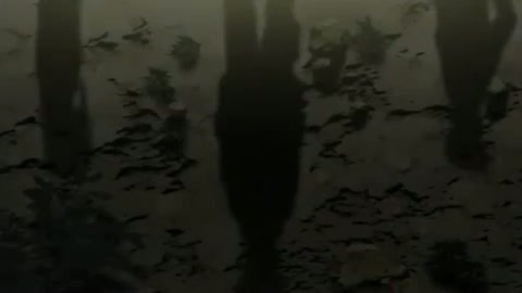 EP 21