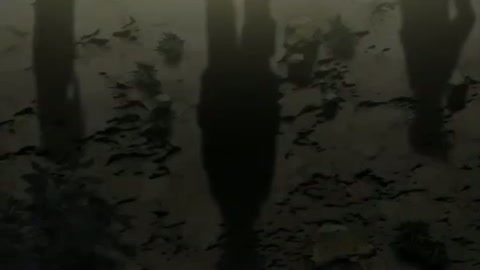 EP 23