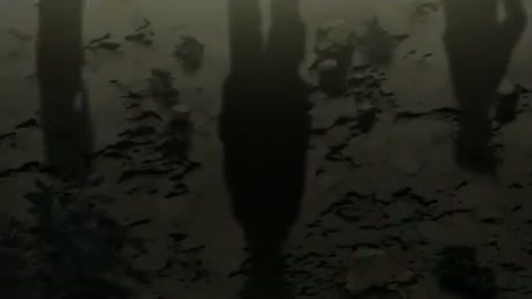 EP 24