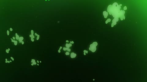 EP 9