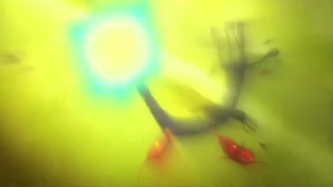 EP 8