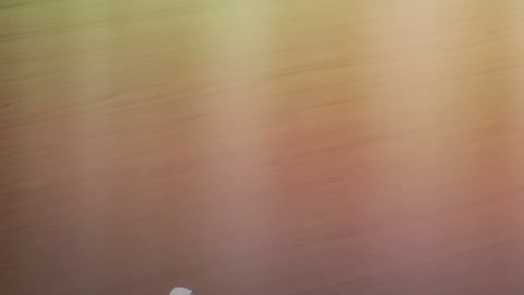 EP 7