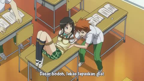 EP 13