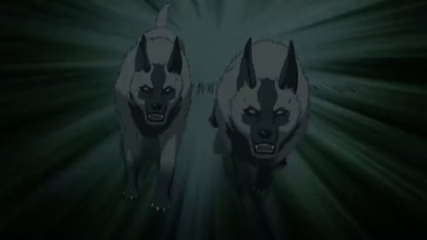 EP 11